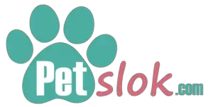 Petslok logo